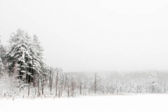 march2012snow_001
