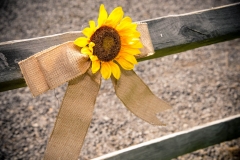 wedding_017