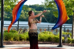 zierak2013riverlink_001