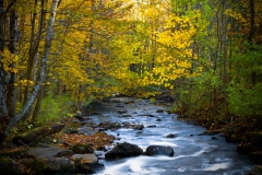 fall2009_001