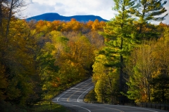 fall2009_002
