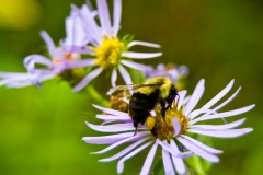 fall2010_002