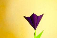 origami_001