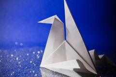 origami_003