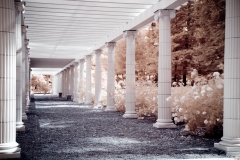 yaddo2009_001